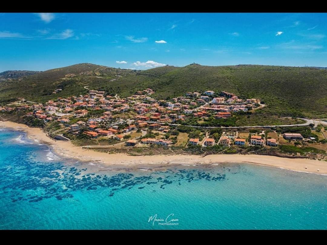 Вилла Albatros - Casa Alina Трезнурагес Экстерьер фото